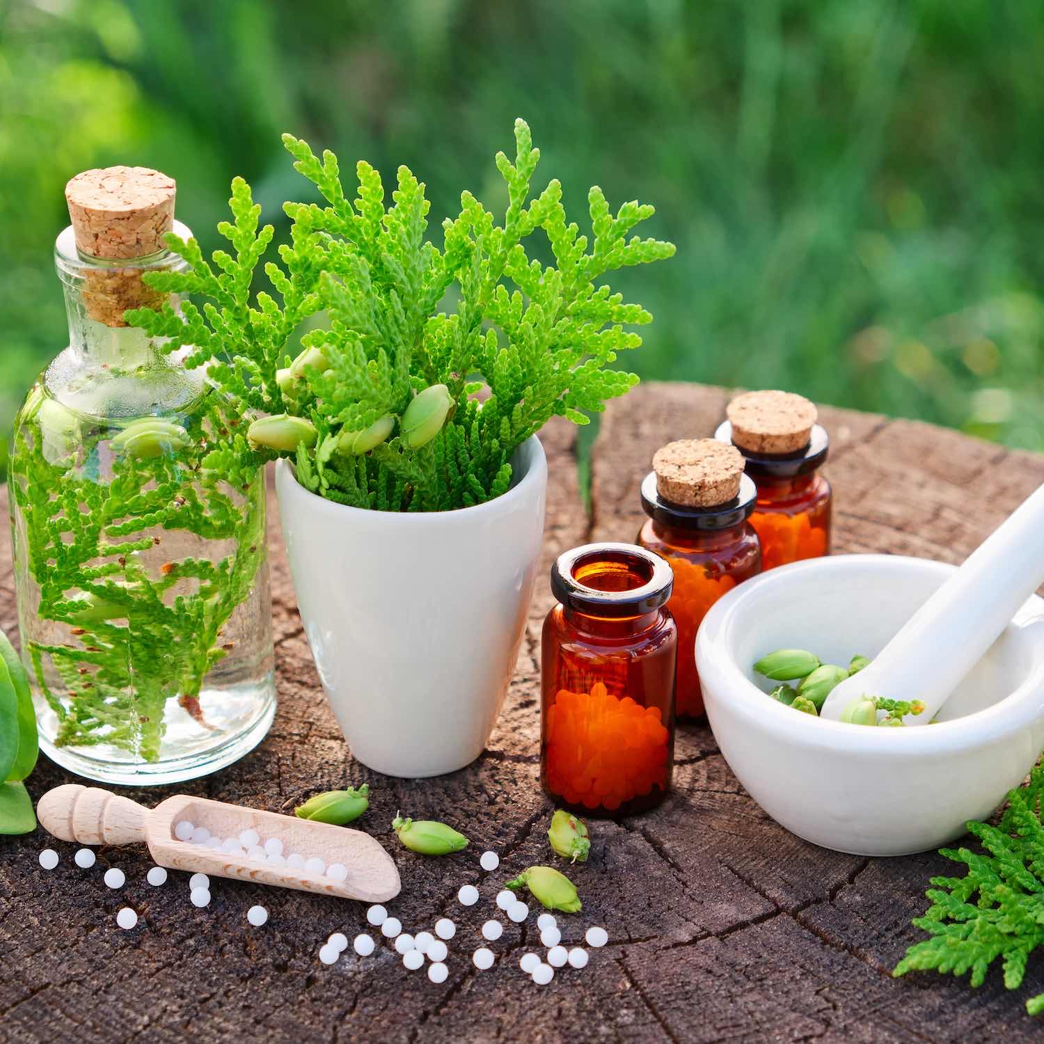 Homéopathie, Pharmacie Revol, Ferney-Voltaire, Genève